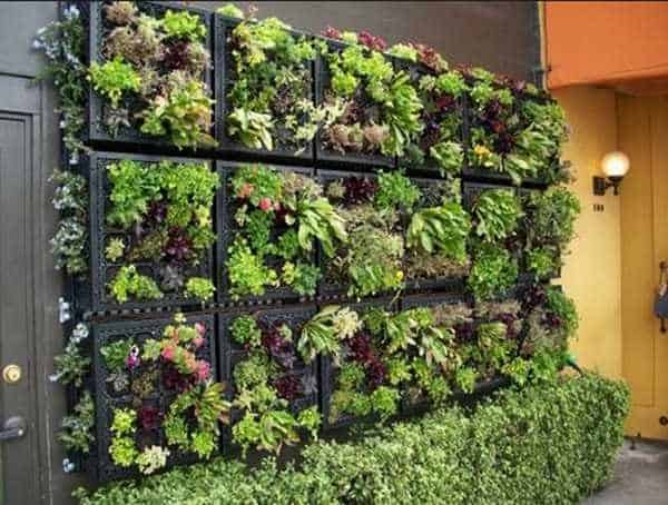 Vertical garden